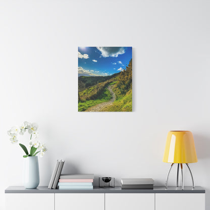 Glanageenty Forest Trail Matte Canvas, Stretched, 1.25"