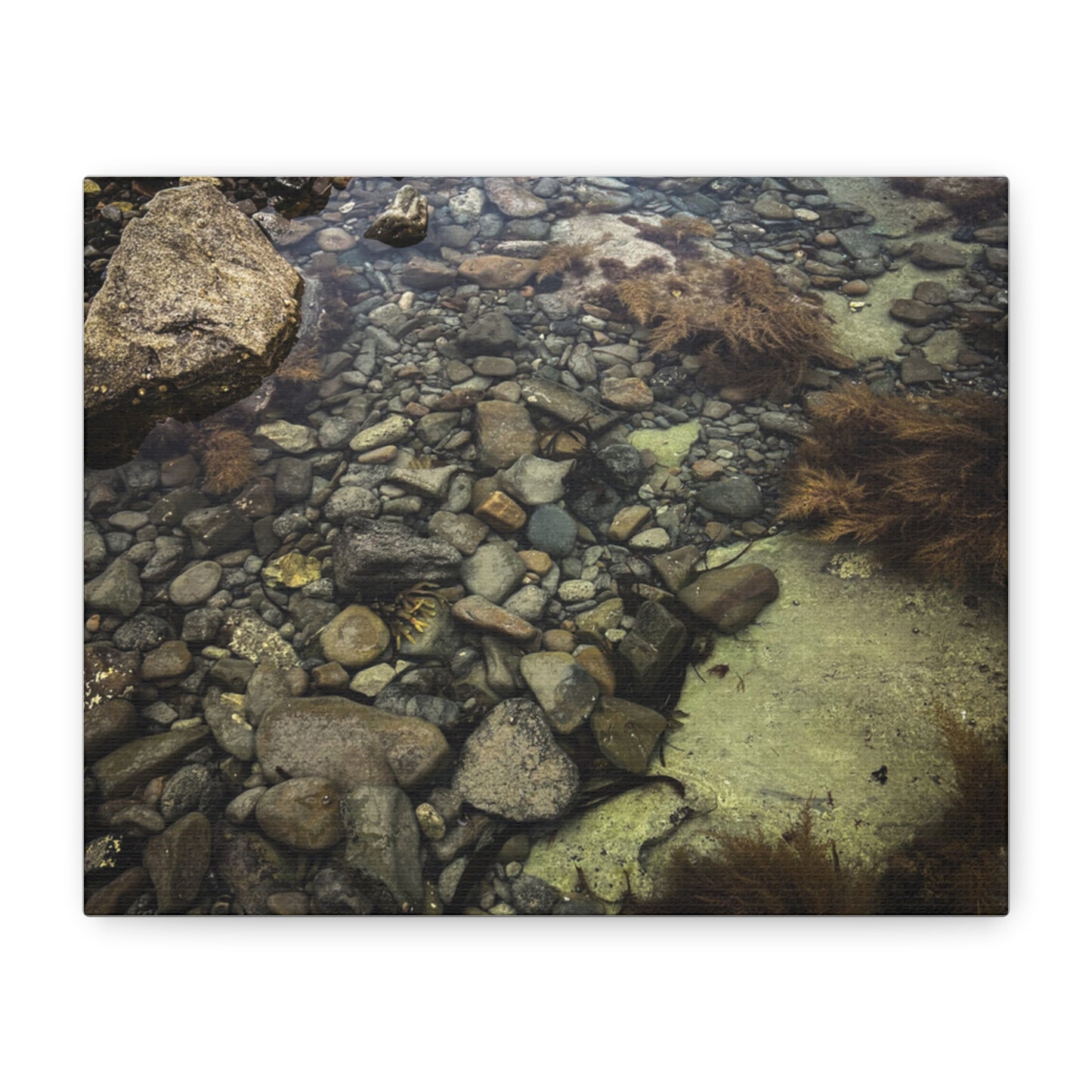 Rocks Matte Canvas, Stretched, 1.25"