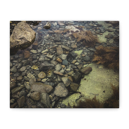 Rocks Matte Canvas, Stretched, 1.25"