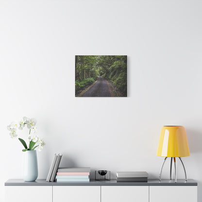 Glanageenty Forest Trail Matte Canvas, Stretched, 1.25"