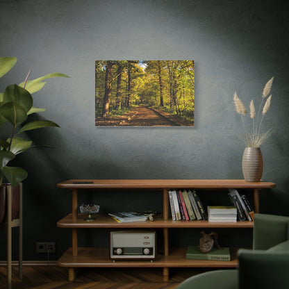 Listowel Town Park Autumn Matte Canvas, Stretched, 1.25"