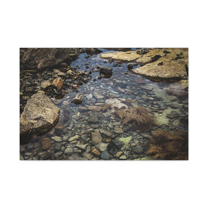 Rocks Matte Canvas, Stretched, 1.25"