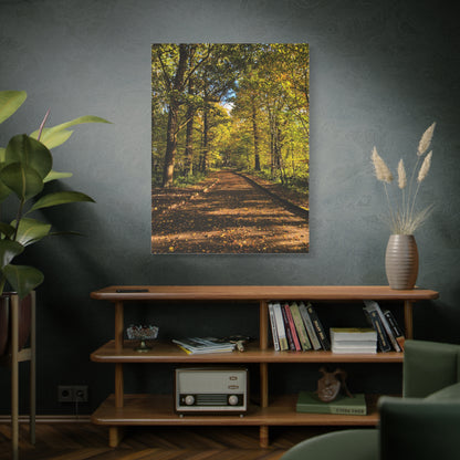Listowel Town Park Autumn Matte Canvas, Stretched, 1.25"