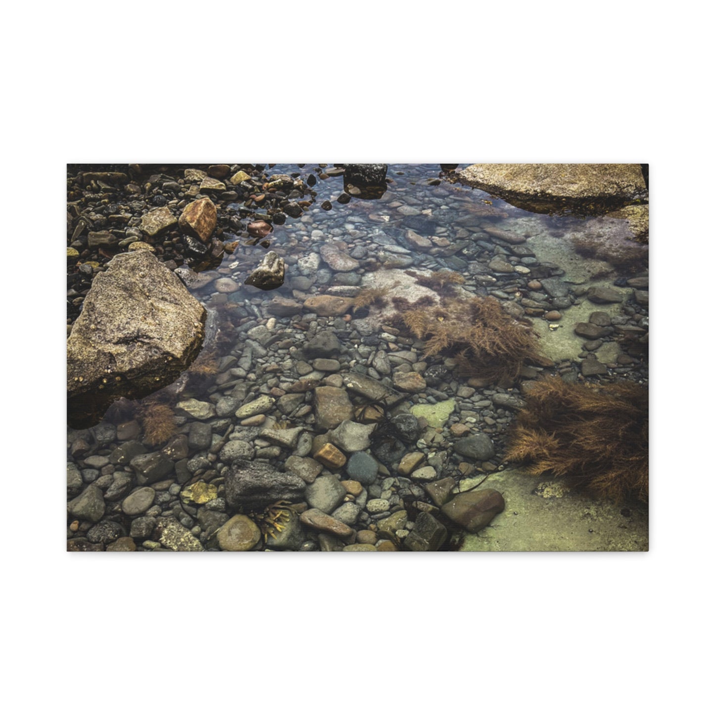 Rocks Matte Canvas, Stretched, 1.25"