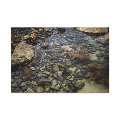 Rocks Matte Canvas, Stretched, 1.25"