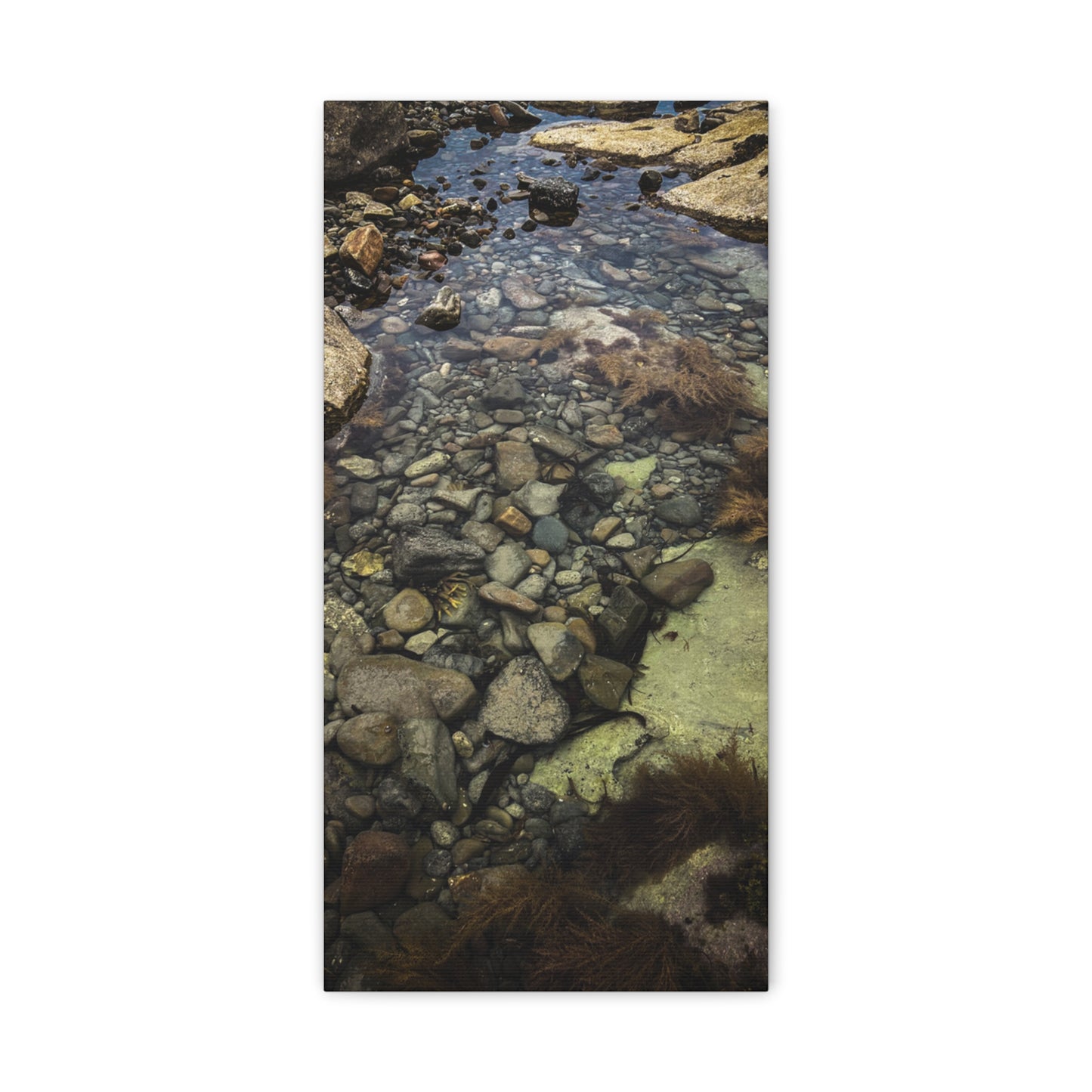 Rocks Matte Canvas, Stretched, 1.25"