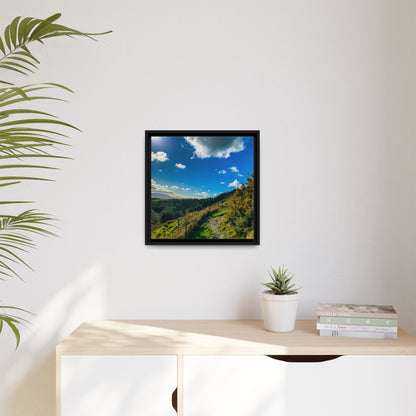 Glanageenty Forest Trail  Matte Canvas, Framed (Multi-color)