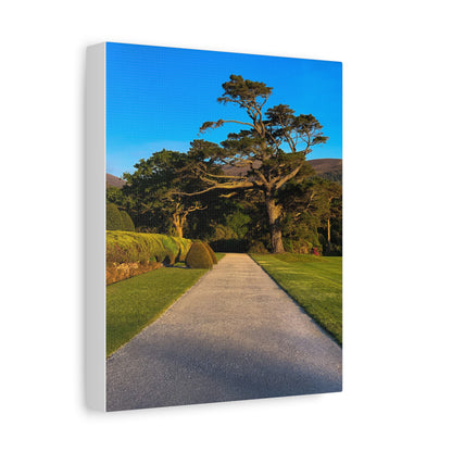 Muckross House Garden Matte Canvas, Stretched, 1.25"