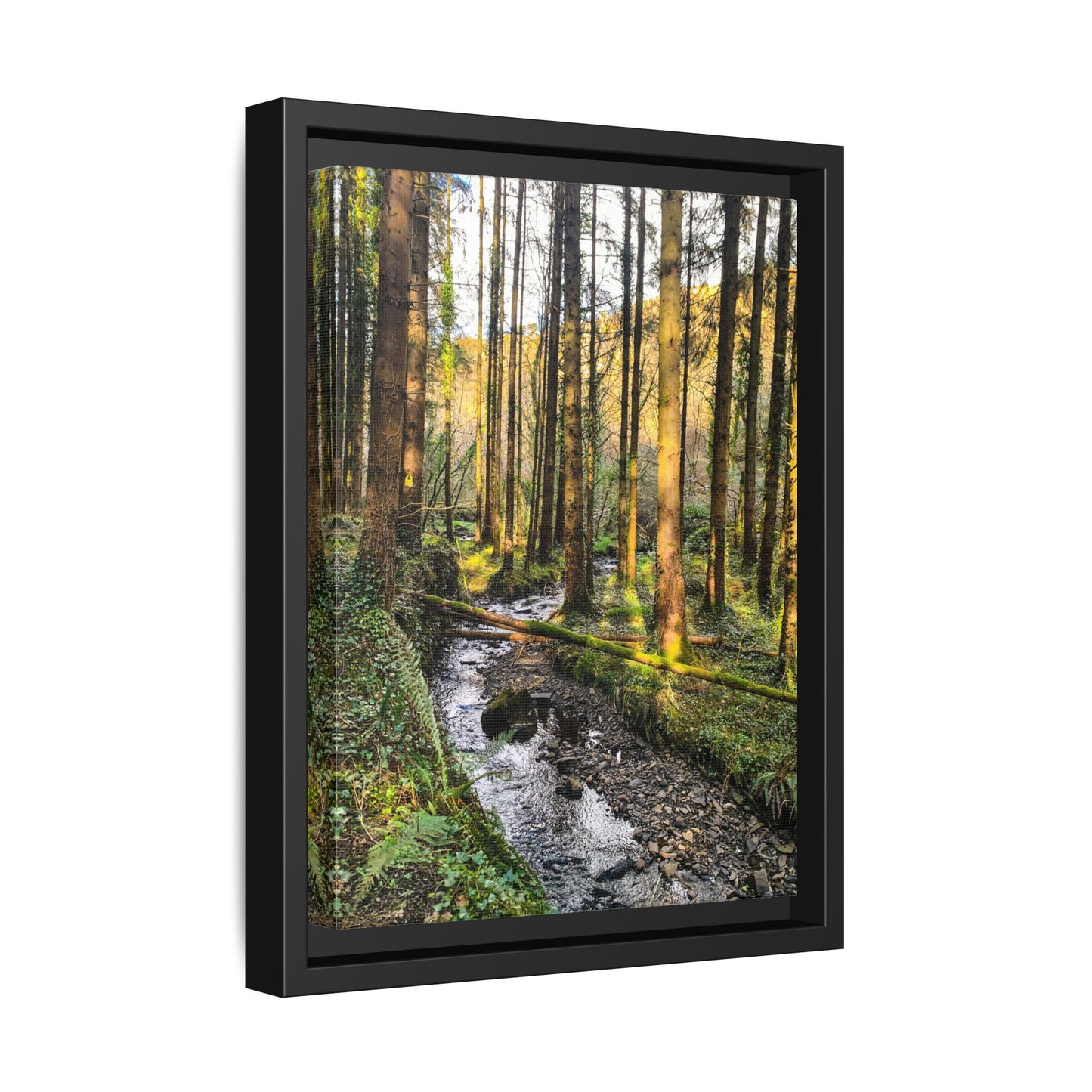 Glanageenty Forest Trail 2 Matte Canvas, Framed (Multi-color)