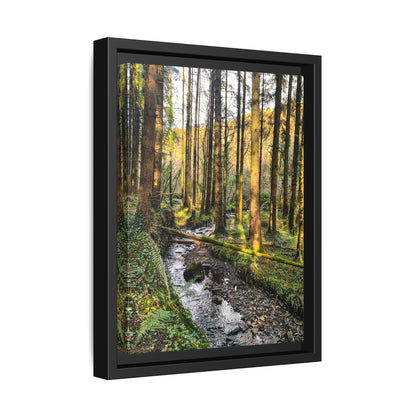 Glanageenty Forest Trail 2 Matte Canvas, Framed (Multi-color)