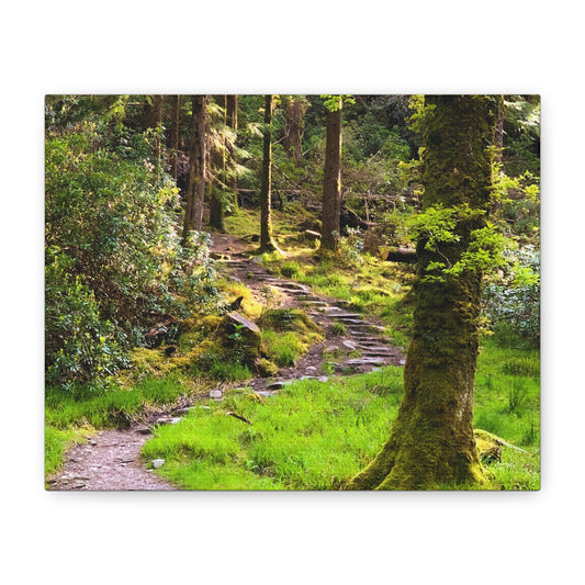 Torc Trail Matte Canvas, Stretched, 1.25"