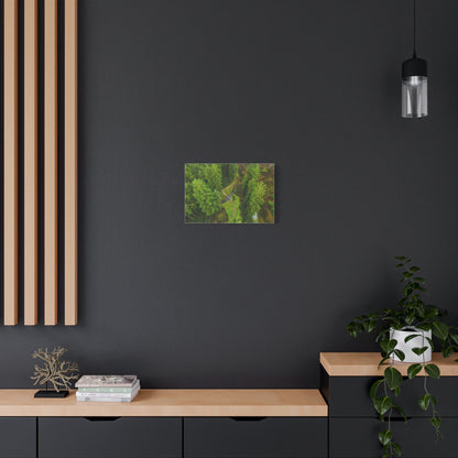 Glanageenty Forest Matte Canvas, Stretched, 1.25"