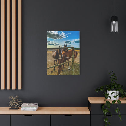 Horses Matte Canvas, Stretched, 1.25"