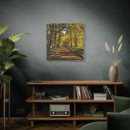 Listowel Town Park Autumn Matte Canvas, Stretched, 1.25"