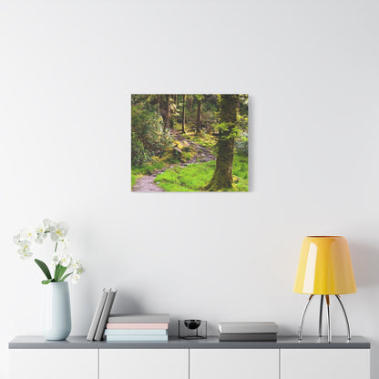 Torc Trail Matte Canvas, Stretched, 1.25"
