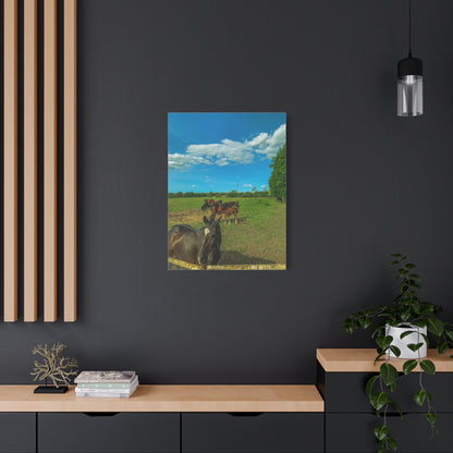 Horse Matte Canvas, Stretched, 1.25"