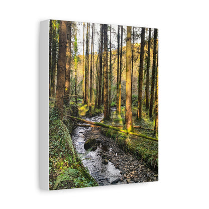 Glanageenty Forest Trail 2 Matte Canvas, Stretched, 1.25"