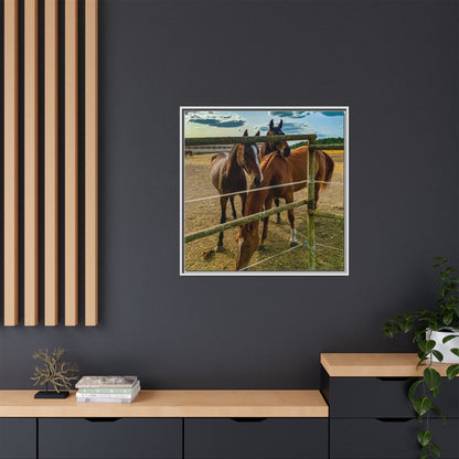 Horses Matte Canvas, Framed (Multi-color)