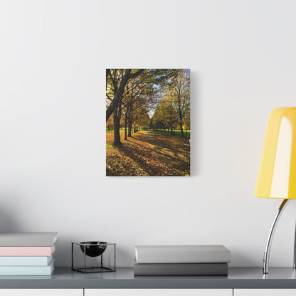 Listowel Town Park Autumn Matte Canvas, Stretched, 1.25"