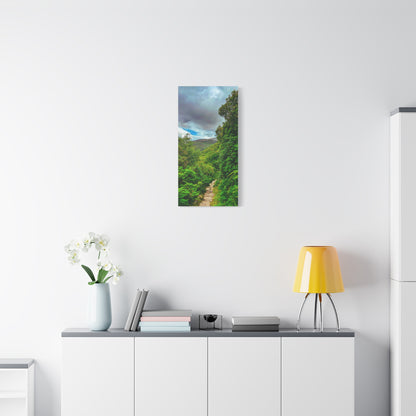 Torc Trail Matte Canvas, Stretched, 1.25"