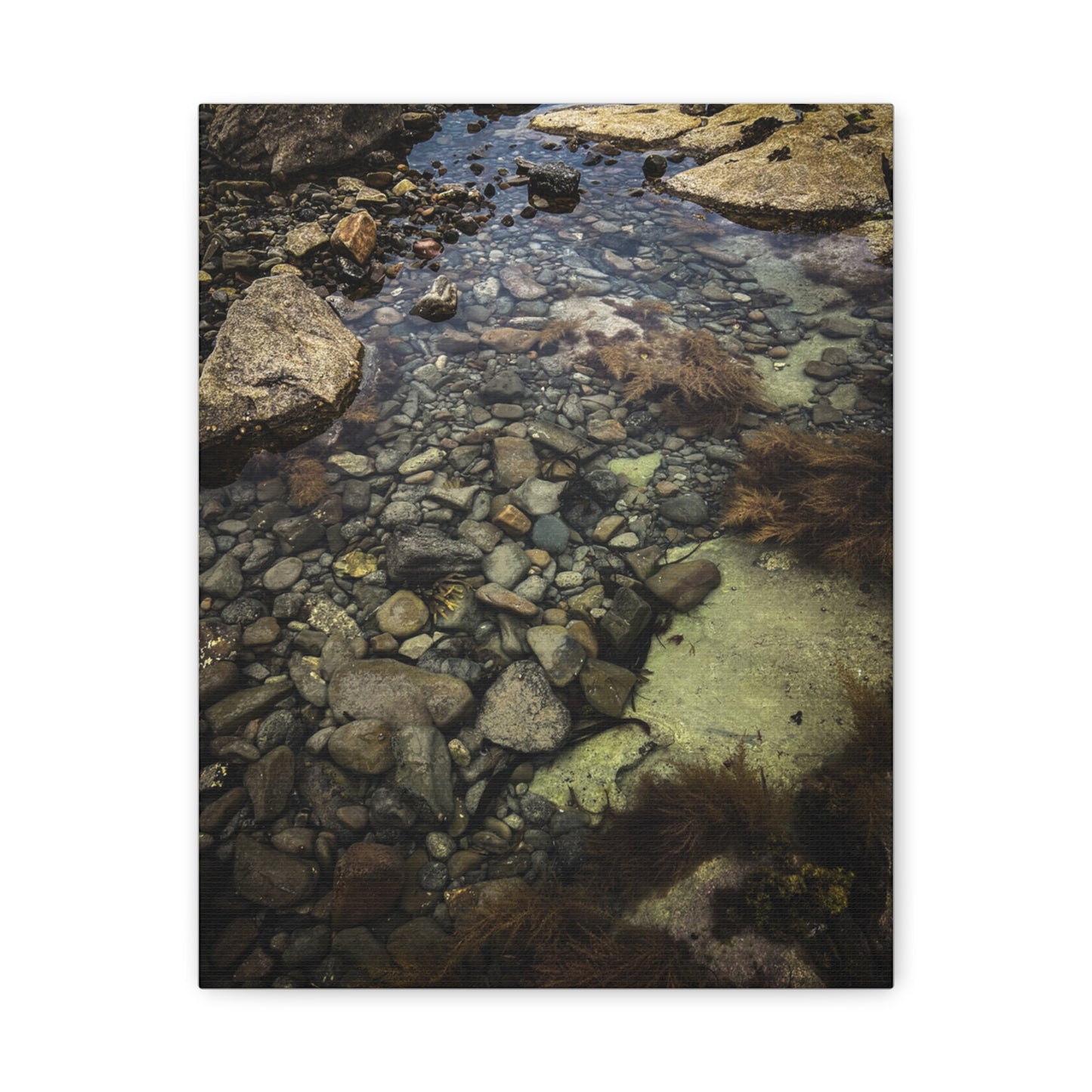 Rocks Matte Canvas, Stretched, 1.25"