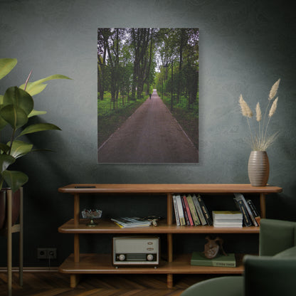 Zagares Park Lithuania Matte Canvas, Stretched, 1.25"