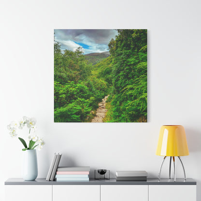 Torc Trail Matte Canvas, Stretched, 1.25"