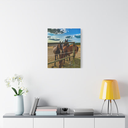 Horses Matte Canvas, Stretched, 1.25"