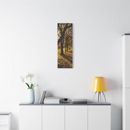 Listowel Town Park Autumn Matte Canvas, Stretched, 1.25"