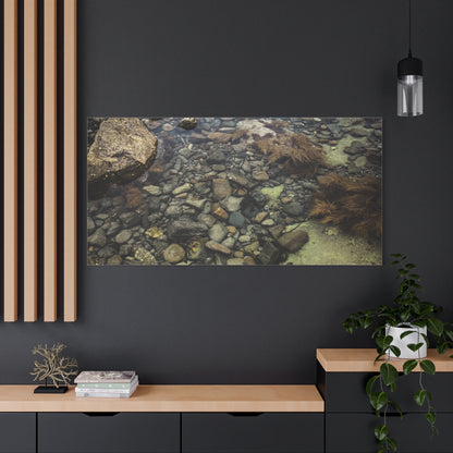 Rocks Matte Canvas, Stretched, 1.25"