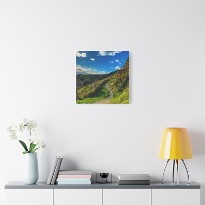 Glanageenty Forest Trail Matte Canvas, Stretched, 1.25"