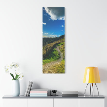 Glanageenty Forest Trail Matte Canvas, Stretched, 1.25"