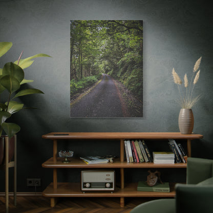 Glanageenty Forest Trail Matte Canvas, Stretched, 1.25"