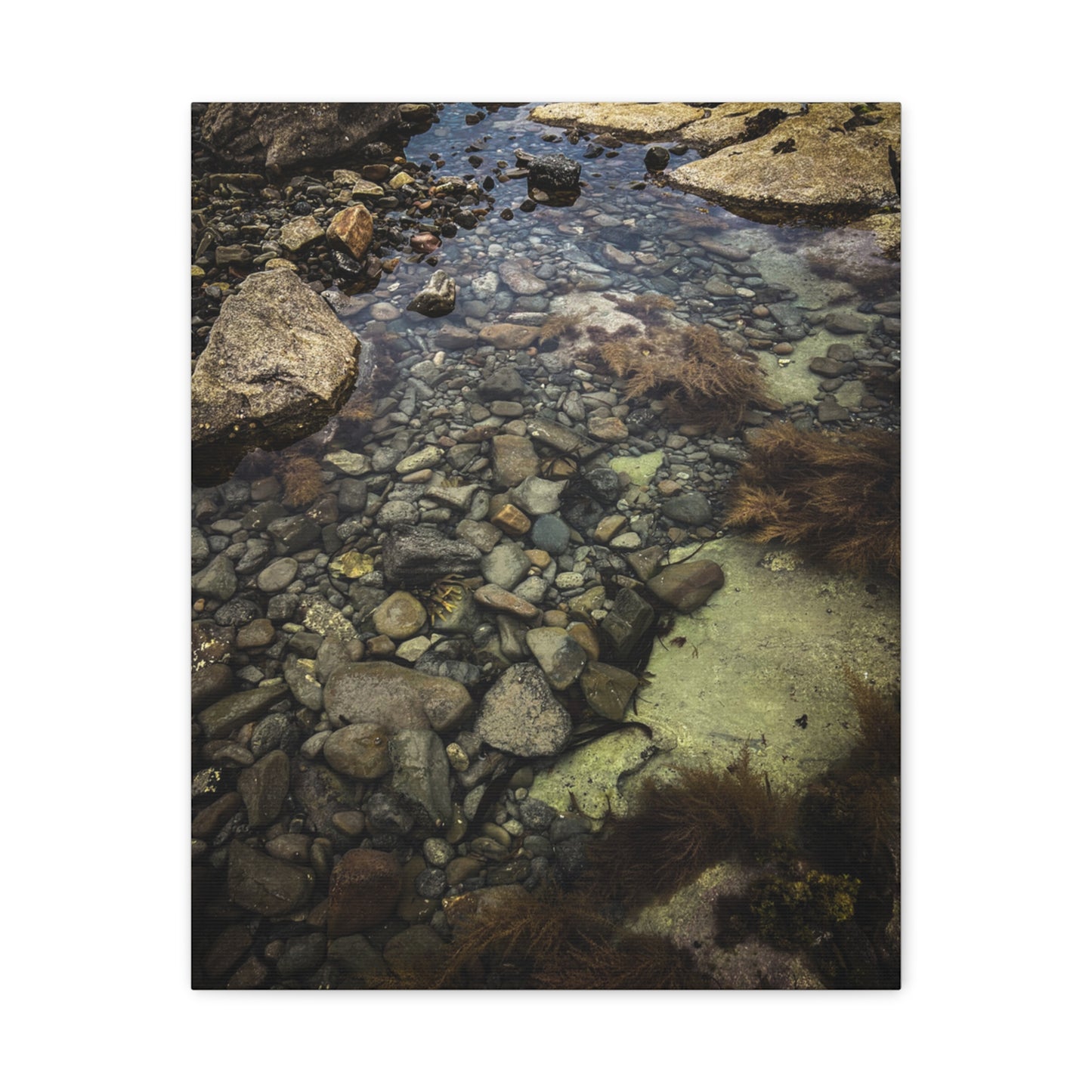 Rocks Matte Canvas, Stretched, 1.25"