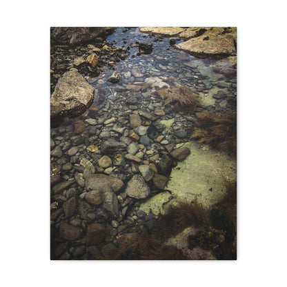 Rocks Matte Canvas, Stretched, 1.25"