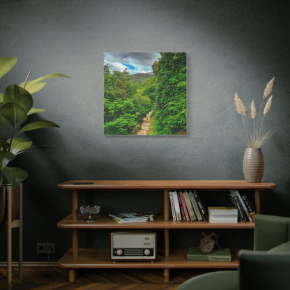 Torc Trail Matte Canvas, Stretched, 1.25"