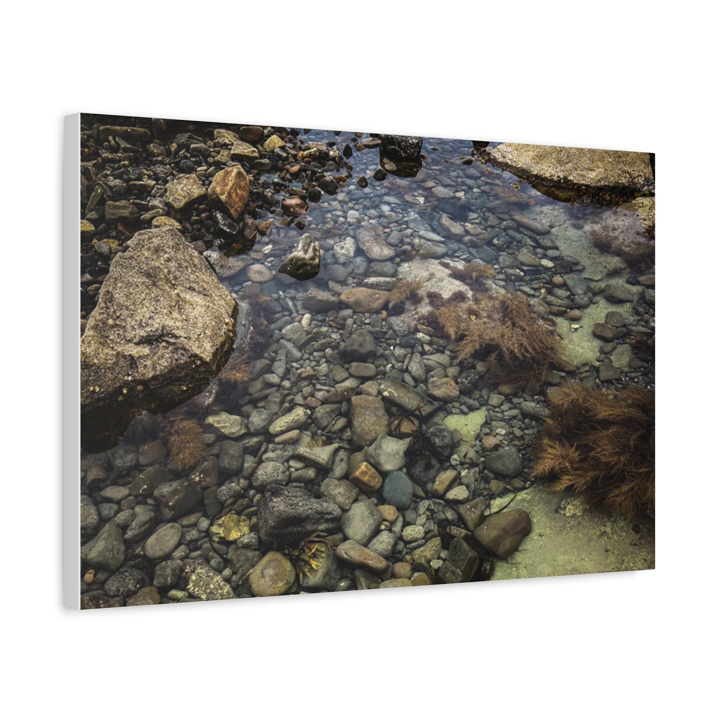 Rocks Matte Canvas, Stretched, 1.25"