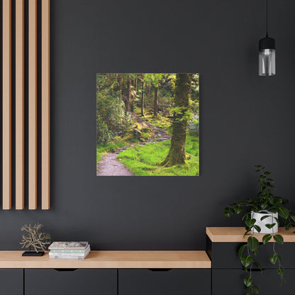 Torc Trail Matte Canvas, Stretched, 1.25"