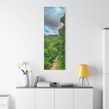 Torc Trail Matte Canvas, Stretched, 1.25"