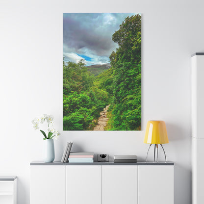 Torc Trail Matte Canvas, Stretched, 1.25"