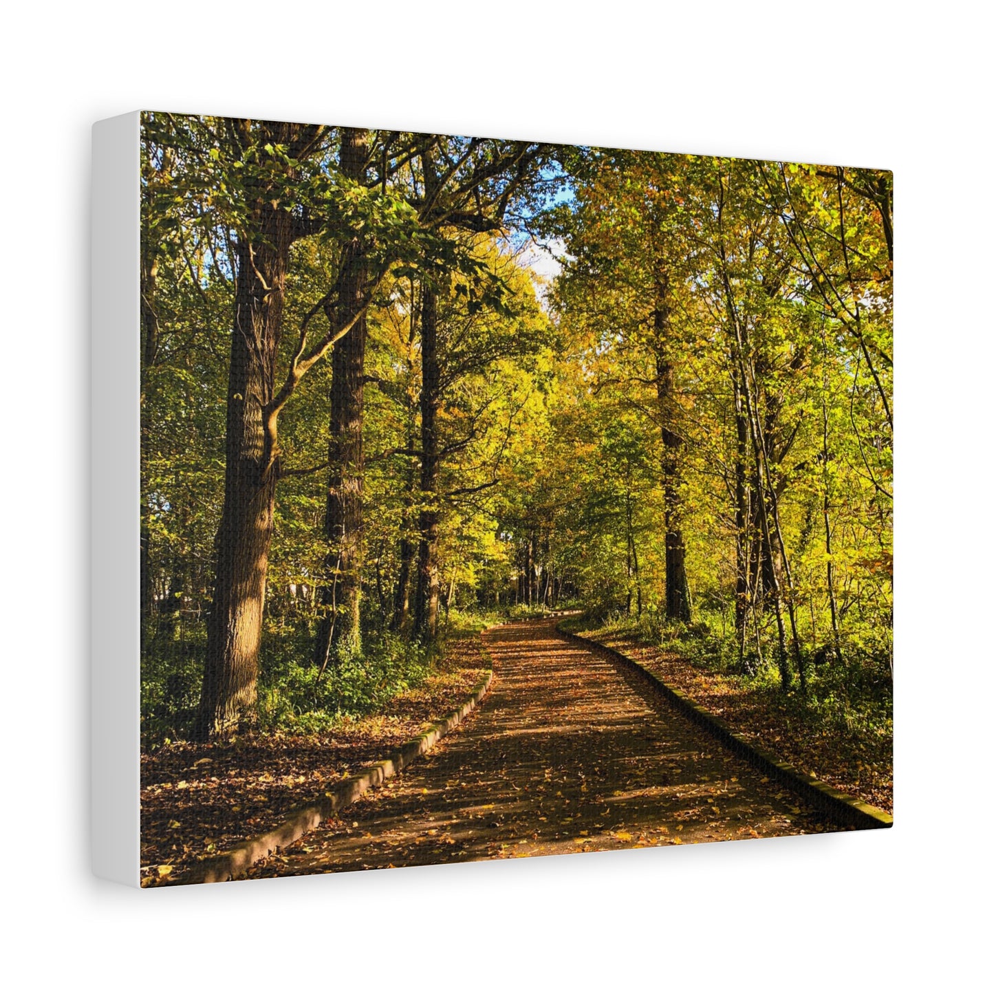 Listowel Town Park Autumn Matte Canvas, Stretched, 1.25"