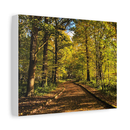 Listowel Town Park Autumn Matte Canvas, Stretched, 1.25"