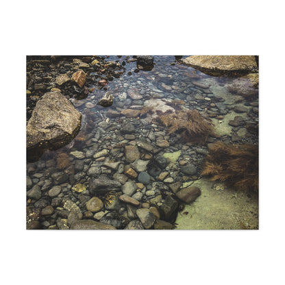 Rocks Matte Canvas, Stretched, 1.25"