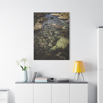 Rocks Matte Canvas, Stretched, 1.25"