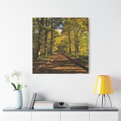Listowel Town Park Autumn Matte Canvas, Stretched, 1.25"