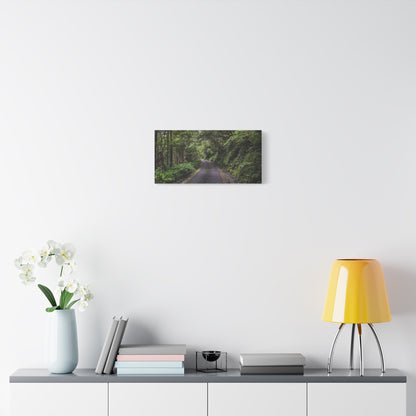 Glanageenty Forest Trail Matte Canvas, Stretched, 1.25"