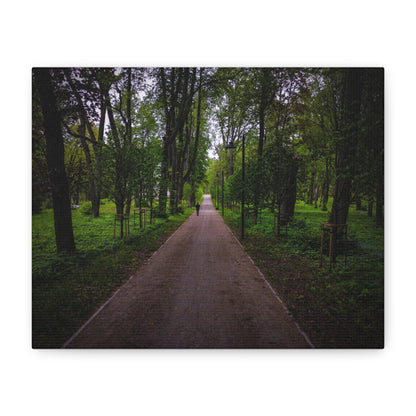 Zagares Park Lithuania Matte Canvas, Stretched, 1.25"