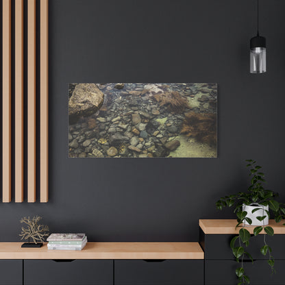 Rocks Matte Canvas, Stretched, 1.25"