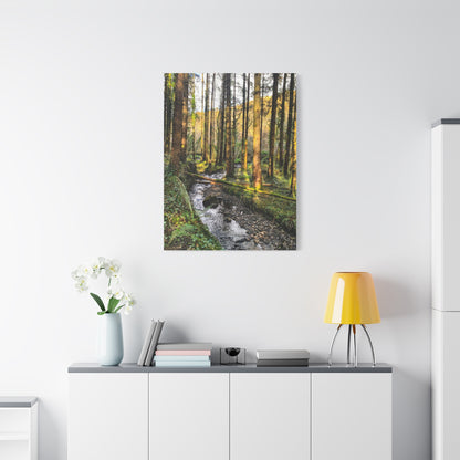 Glanageenty Forest Trail 2 Matte Canvas, Stretched, 1.25"