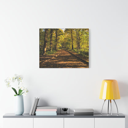 Listowel Town Park Autumn Matte Canvas, Stretched, 1.25"